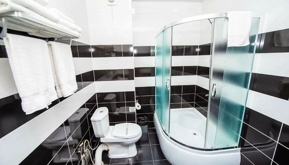 هتل شاین پالاس تفلیس